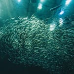 8220Tasacak-Bu-Deniz8221-Sualti-Istanbul8217un-Perde-Arkasi-Goruntuleri-Yayinda-featured