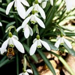 CGH28217nin-Yayin-Gunu-Degisti-Artik-Cumartesi-Aksamlari-featured