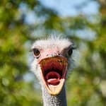 Televizyon-Dunyasiyla-Ilgili-Attiklari-Komik-Tweetlerle-Hafta-Boyunca-Gulduren-Kullanicilar-featured