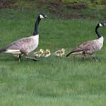 Tasacak-Bu-Deniz-Kaza-Sahnesi-Cekimlerinin-Perde-Arkasi-Ortaya-Cikti-featured