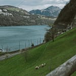 Burcin-Terzioglu8217ndan-Yillar-Sonra-8216Ben-Leman8217in-Katili-Aciklamasi-featured