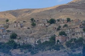 Batman'da akrepler saldırıya geçti! Tek bir ısırıkla hayattan koparıyor...