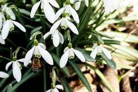 CGH28217nin-Yayin-Gunu-Degisti-Artik-Cumartesi-Aksamlari-featured