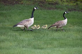Tasacak-Bu-Deniz-Kaza-Sahnesi-Cekimlerinin-Perde-Arkasi-Ortaya-Cikti-featured