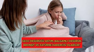 gece-oksurugu-astim-balgamli-oksuruk-bronsit-ve-zaturre-habercisi-olabilir-BzHU9tJ4.jpg