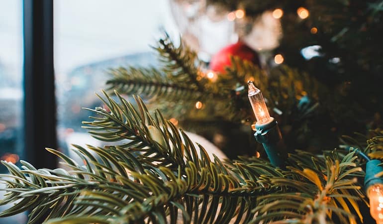 Show-TV8217nin-Yeni-Dizisi-8216Delikanli8217-Sete-Cikti-Yayin-Tarihi-One-Cekildi-featured